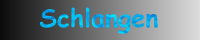 Schlangen